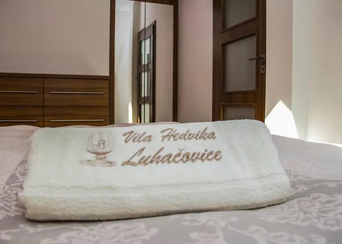 Pensionat Hedvika 3*